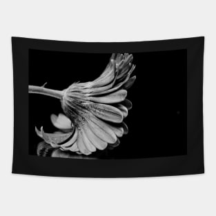 Flower in Black and white. Tapestry