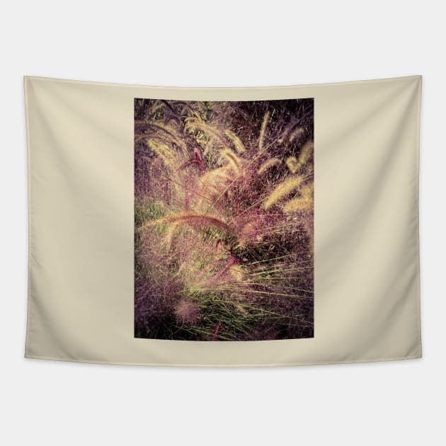 Grasses Tapestry by thadz
