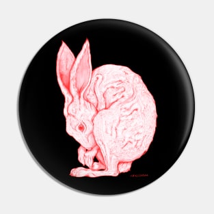 Jack Rabbit Pin