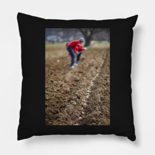 Sowing potatoes Pillow