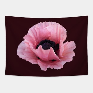 Delicate Pink Poppy Tapestry