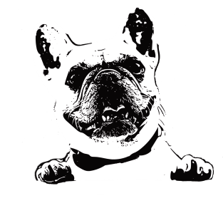 French Bulldog Magnet