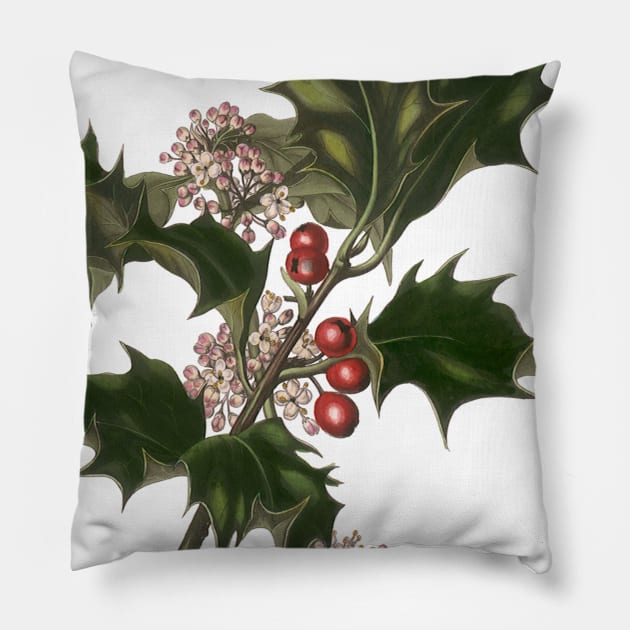 Vintage Christmas Holly Branch Pillow by MasterpieceCafe