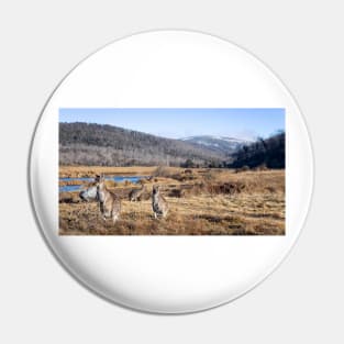 Kangaroos And Mountains Pin