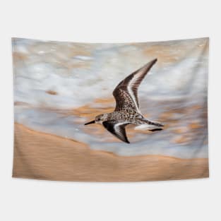 Sandpiper over the seashore flying Tapestry