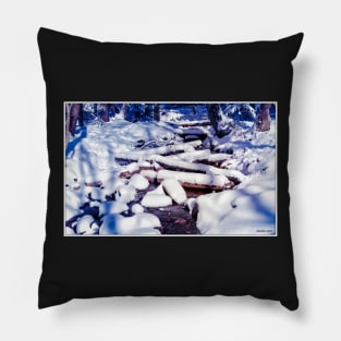 Winter Snow on a Spring Brook Pillow