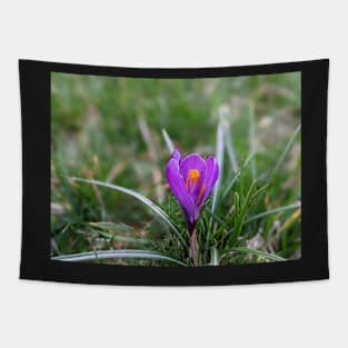 Purple and orange flower in grass 3 Tapestry