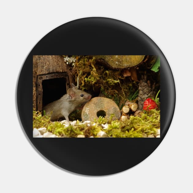 little mouse in a log pile house Pin by Simon-dell