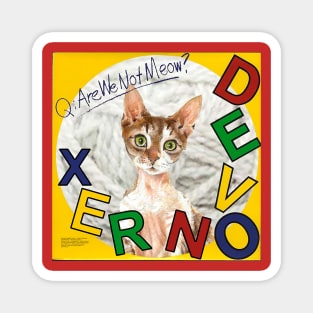 Devon Rex - Are We Not Meow? Magnet