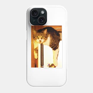 Fenster Cat Phone Case