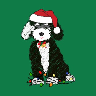 Naughty Black & White Bernedoodle Tangled In Christmas Lights T-Shirt