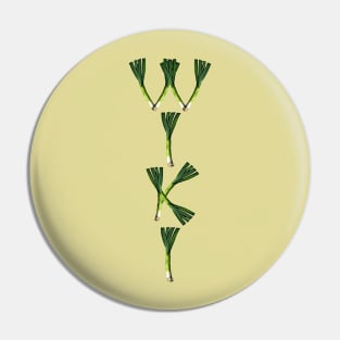 WikiLeeks Pin