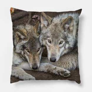 Timber Wolves Pillow