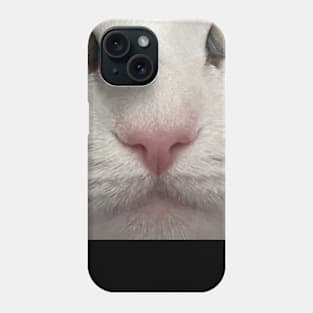 Cat Nap Phone Case