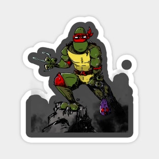 Raphael Magnet