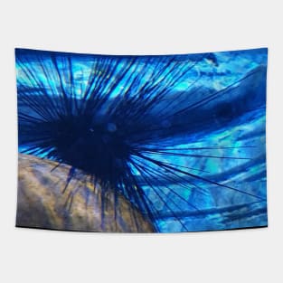 Sea Urchin Tapestry