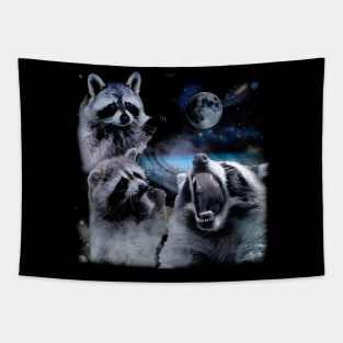 Celestial Raccoon Crew Elevate Your Wardrobe with UFO Intrigue Tapestry