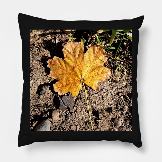 Golden Autumn Maple Leaf Pillow by ConniSchaf
