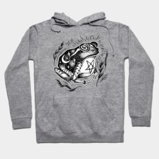 Frog and Toad Fishing | Pullover Hoodie