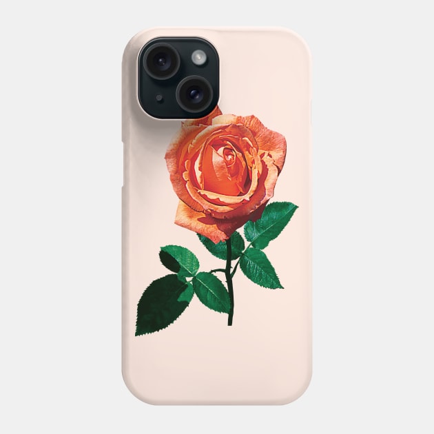 Roses - Graceful Orange Rose Phone Case by SusanSavad