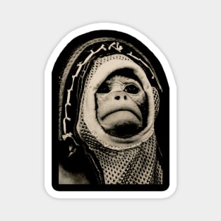 Space Monkey Magnet