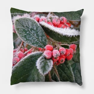 Frost Berries: close-up photo of red berries and green leaves with white frost Pillow