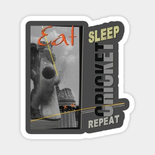 Eat sleep cricket repeat Magnet