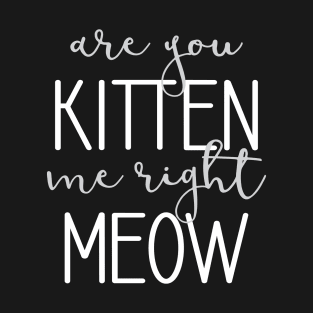 Are You Kitten Me Right Meow T-Shirt