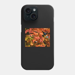 Maple leaves Phone Case