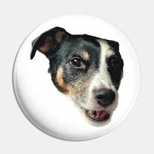 smiling dog funny meme jack russel Pin