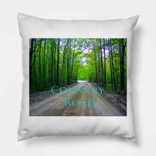 Deep in the Woods of Northern Michigan, the Dirt Country Road Leads to Adventure. Pillow