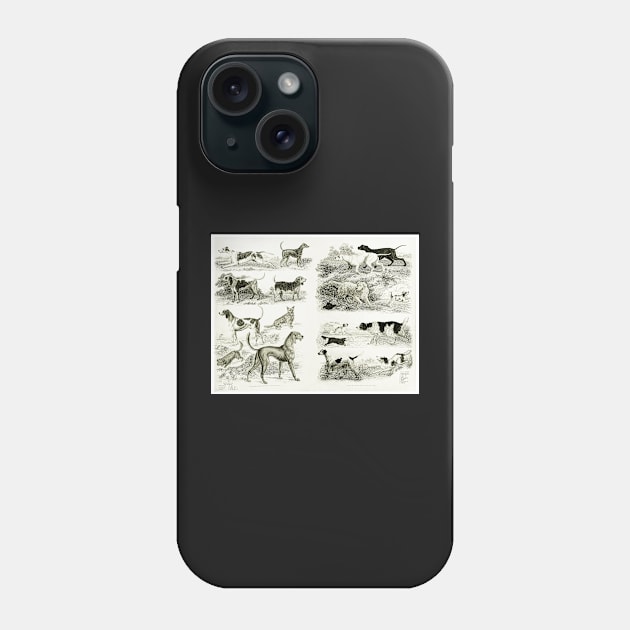 Old English Dog Breeds Phone Case by ArtShare