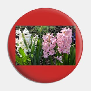 Spring bulbs in flower Pin