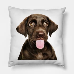 Naughty dog Pillow