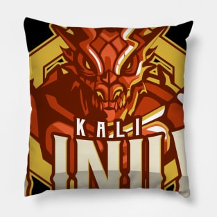 Backtrack Kali Linux Dragon Programming and Computer Pillow