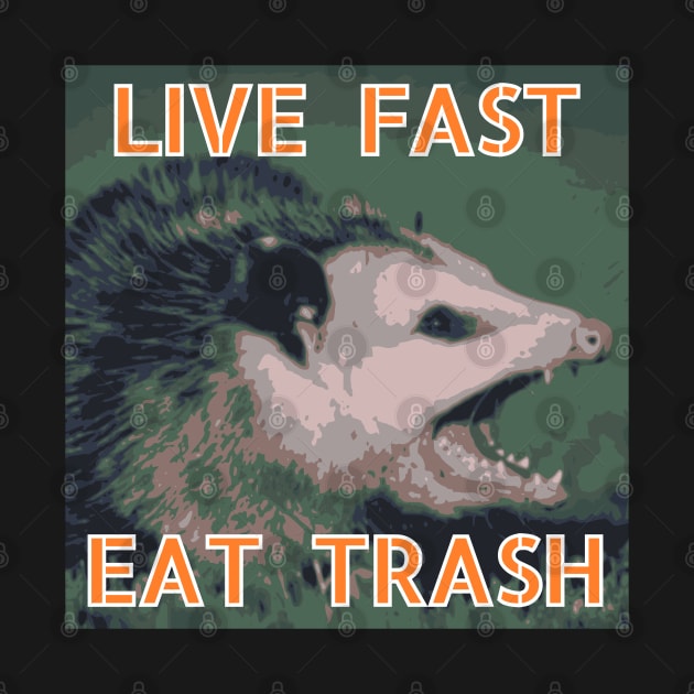 Possum: Live Fast, Eat Trash by nonbeenarydesigns