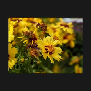 Surviving Yellow Flower T-Shirt