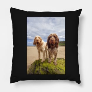 On a Rock at the beach Spinoni Pillow