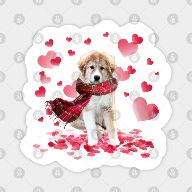 Great Pyrenees Hearts Love Happy Valentine's Day Magnet by cyberpunk art