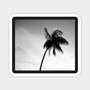 Palmtree black&white Magnet