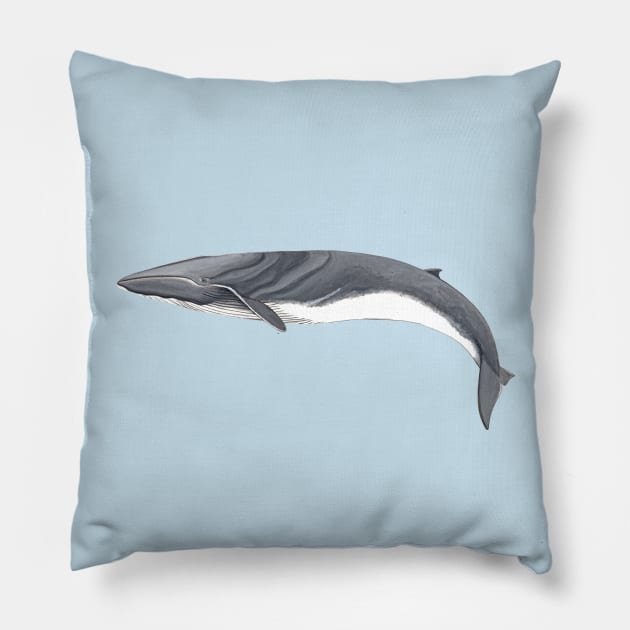 Fin whale Pillow by chloeyzoard