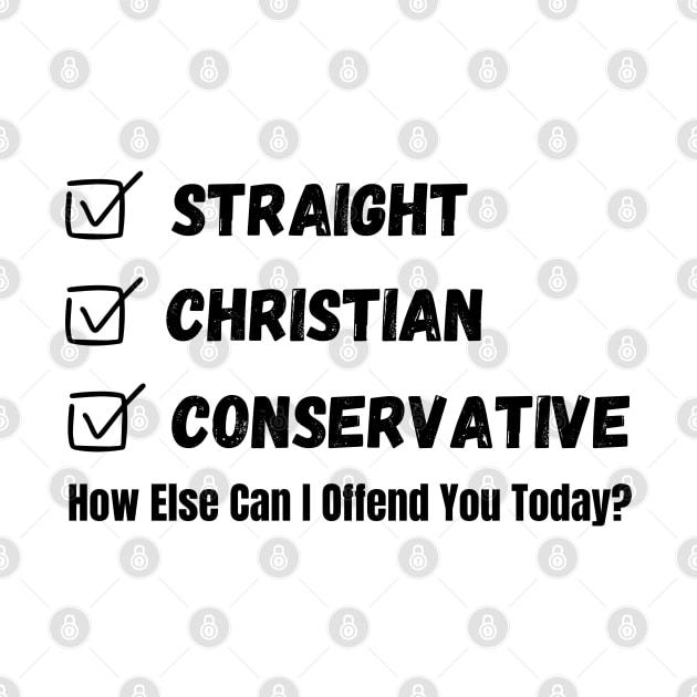 Straight Christian Conservative How Else Can I Offend You Today by Mojakolane