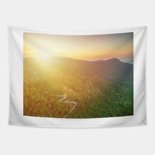 Aerial view of curvy mountain road through a jungle ay sunset Tapestry