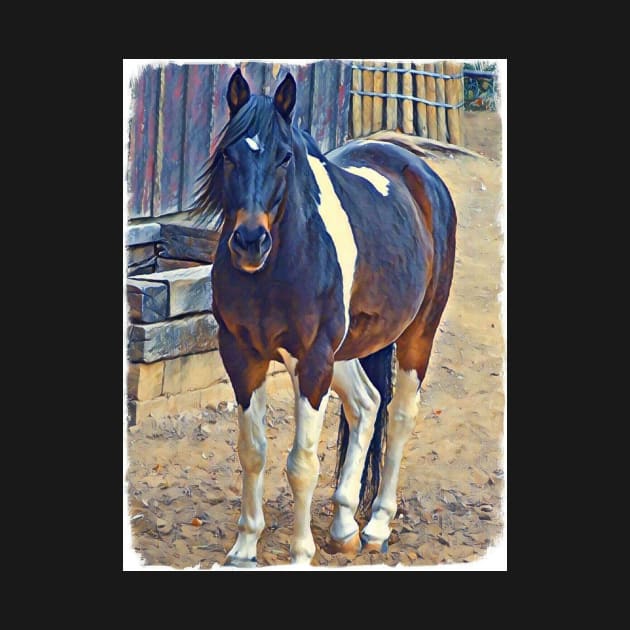 American Paint Horse by Sharonzoolady