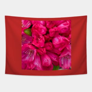 Rhododendron Bloom Tapestry