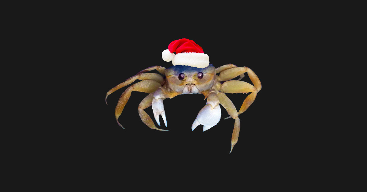 crabby christmas santa hat t shirt teepublic crab t shirt designs