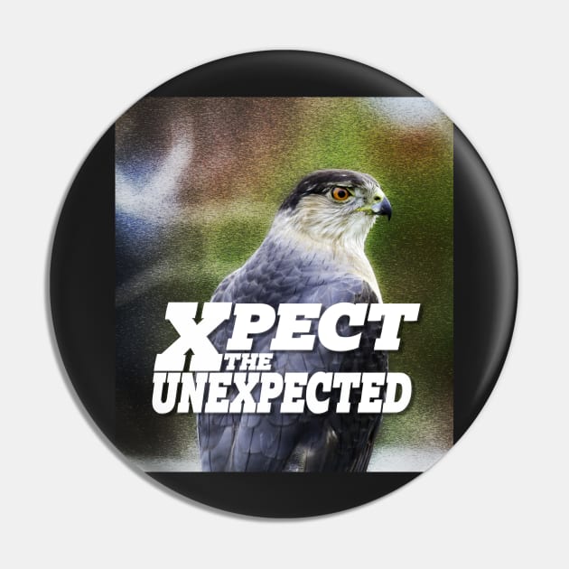 Xpect the Unexpected Hawk Pin by Ripples of Time