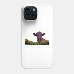 Red brown cow Phone Case