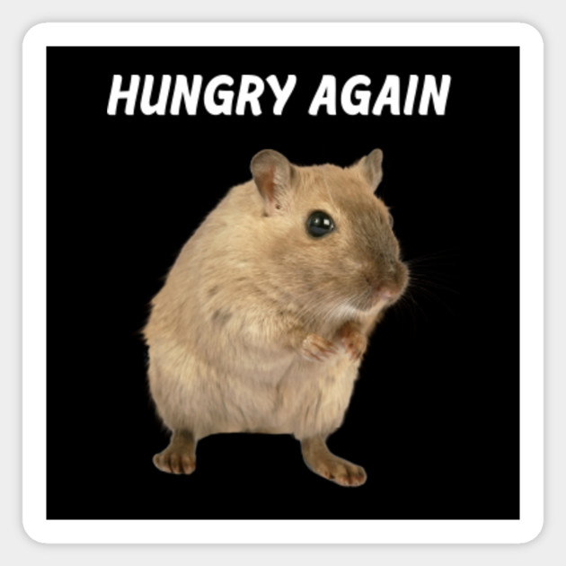 Gerbil Cute Lovely Adorable Pet Animal Kid Baby Boy Girl Hamsters