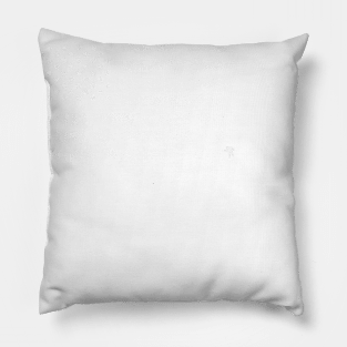 American Flag Space Pillow